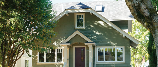 Mid Century Modernism Blenheim House Renovation