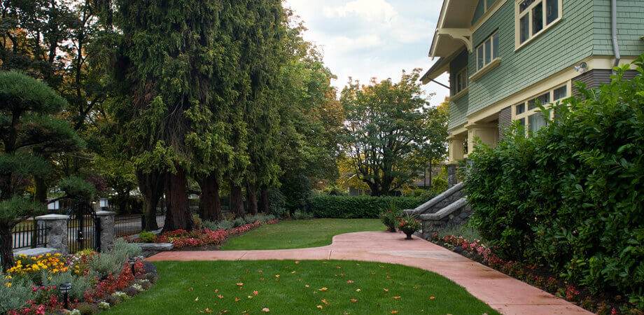 beautifully landscaped walkway to front entrance of restored vancouver heritage home